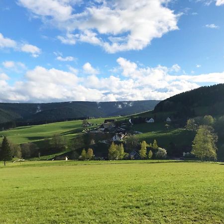 Ferienhaus Robin Titisee-Neustadt Exterior foto